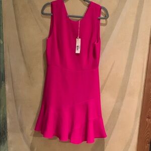Rebecca Taylor Pink Fit and Flare Mini Dress